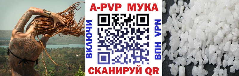 Альфа ПВП СК КРИС ссылка на мегу сайт Лабинск