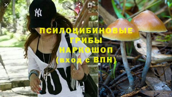 круглые Алексин