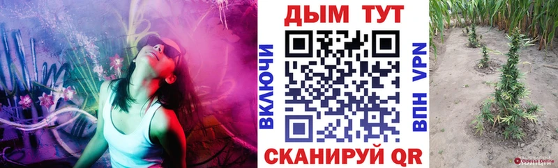 Канабис OG Kush  MEGA ONION  Лабинск 